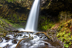 latourell falls1