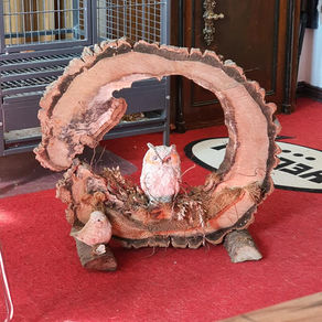 Wir haben Zuwachsbekommen