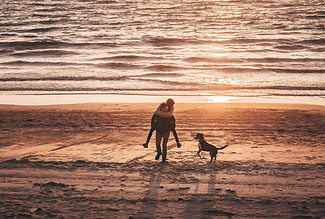 Couple running along the beach with dog