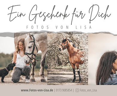 Voucher_horses_front