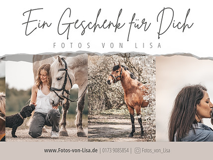 Voucher_horses_front
