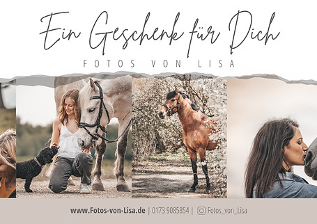 Voucher_horses_front