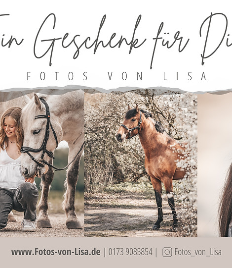 Voucher_horses_front