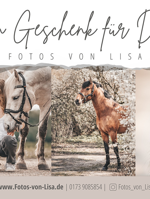 Voucher_horses_front