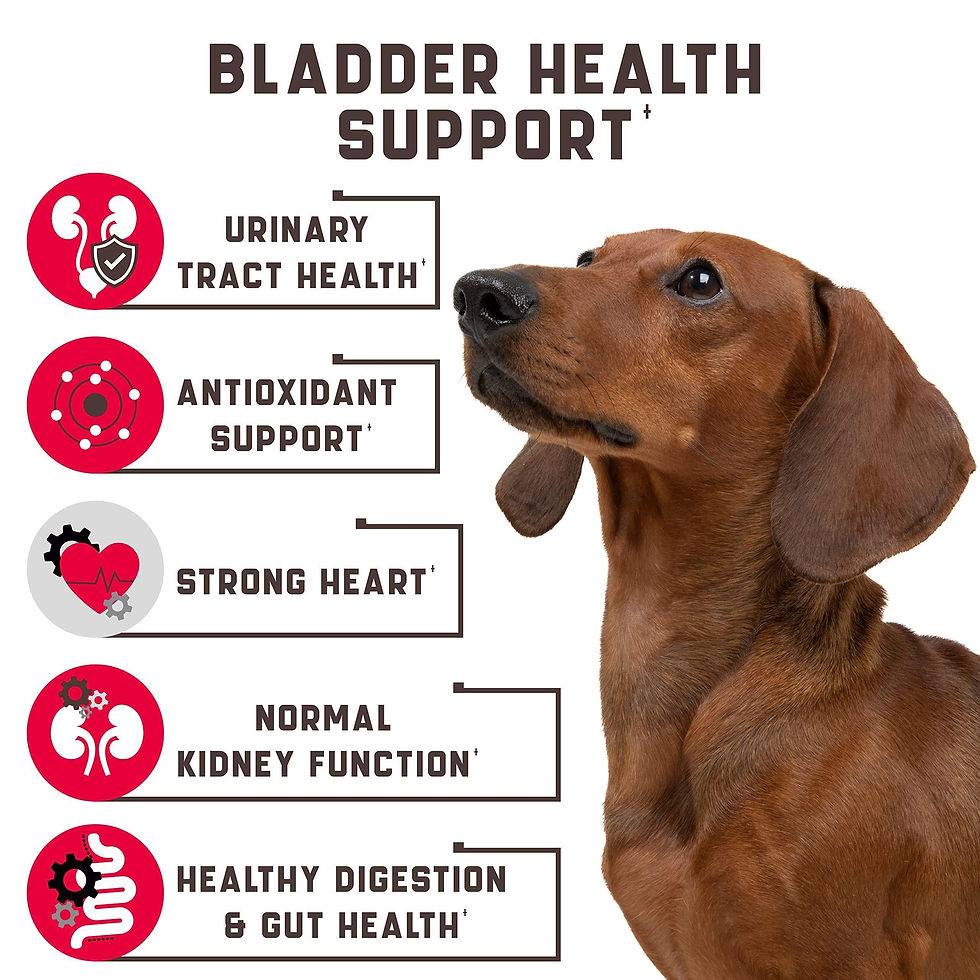 Thumbnail: 180 Pcs Cranberry Chews Dog Cranberry Supplement Natural Aid for Urinary Tract
