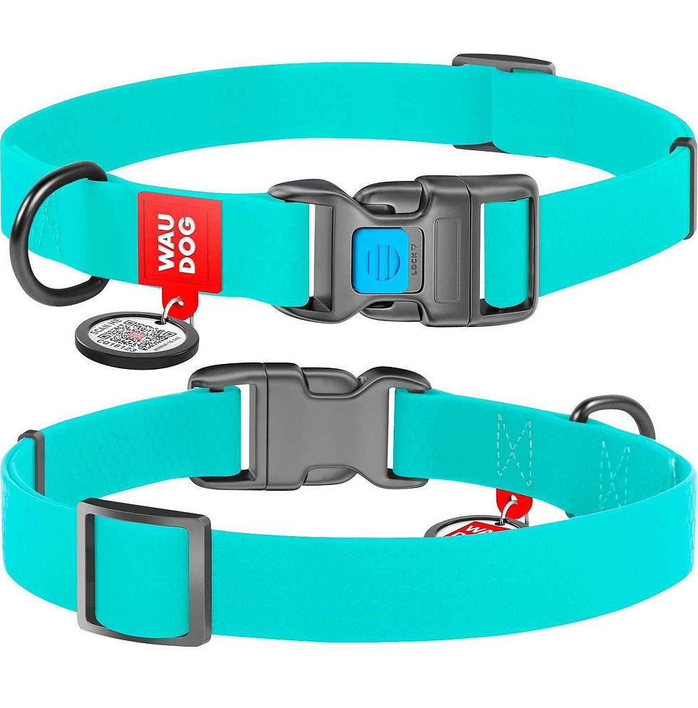 Thumbnail: Waterproof Dog Collar Heavy Duty Adjustable for Medium Dogs M Size Glow in Dark