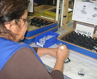 Mexicali Production Operator