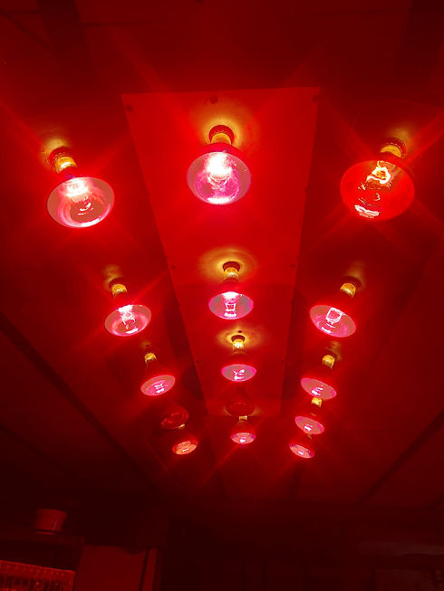 WhatsApp Image 2025-05-25 at 21.17.17 (2).jpeg