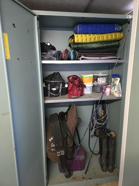 WhatsApp Image 2025-05-13 at 21.33.19.jpeg