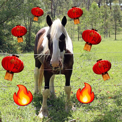 Firehorse Dhammagiri Chinese Vietnamese Lunar New Year Spring  Festival