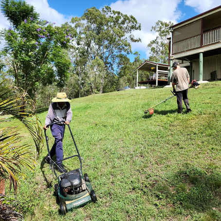 Working Bee Sat 28/03, 07.00 am | Monthly Bees Every 4th Saturday in 2026