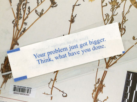 ‘Change in Diet’ de Elliot Moss