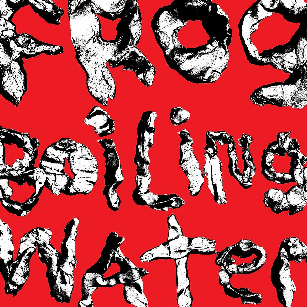 diiv-frog-in-boiling-water-album-entrevista