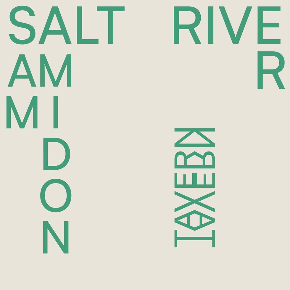 sam-amidon-salt-river-album-entrevista