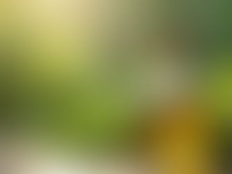 Revitalize Your Hair with NetCare Organics Oil