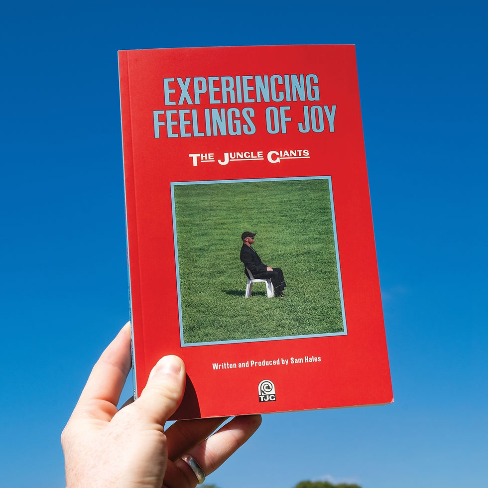 the-jungle-giants-experiencing-feelings-of-joy-album-entrevista