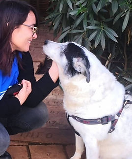 WhatsApp Image 2025-10-25 at 19.24.31.jpeg