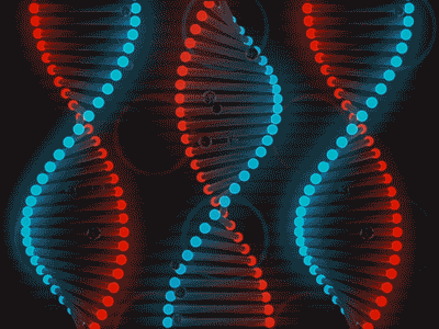 L03H.gif