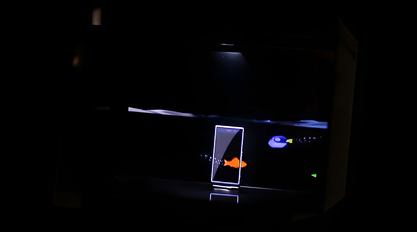 Hologram Devices _LC Hologram