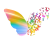 LC Hologram Logo