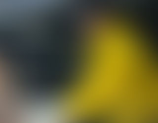 Steve inspecting a crawlspace for water damage