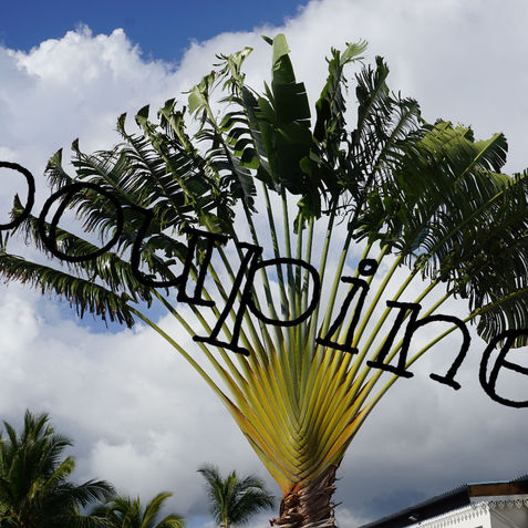 triangle palm tree on stormy sky la réunion france_poupinespix.jpg