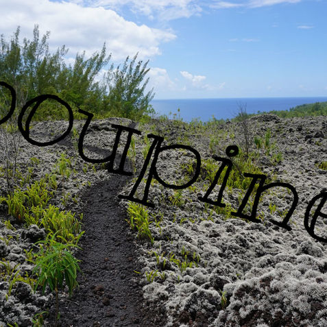 trail among old lava mossy stones by ocean la réunion_poupinespix.jpg