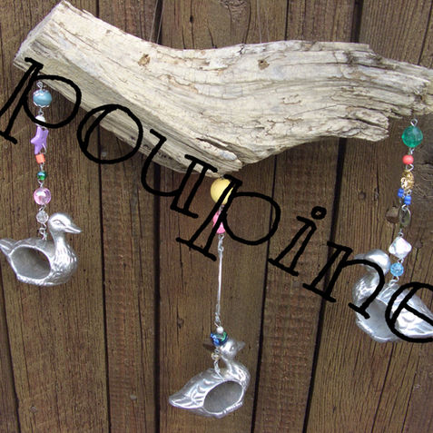 canards argentés RdeS mobile_poupinespix.jpg