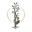 Writer: ashandoakrevival