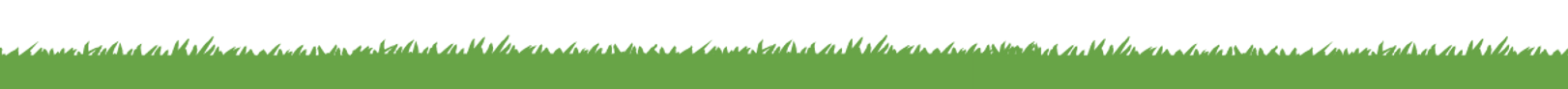 GRASS PNG.png