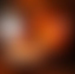 Monometer Melting and Refining Rotary Furnaces