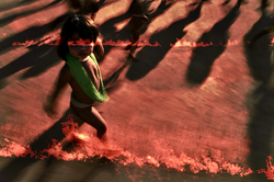 Mostra Terra em Transe