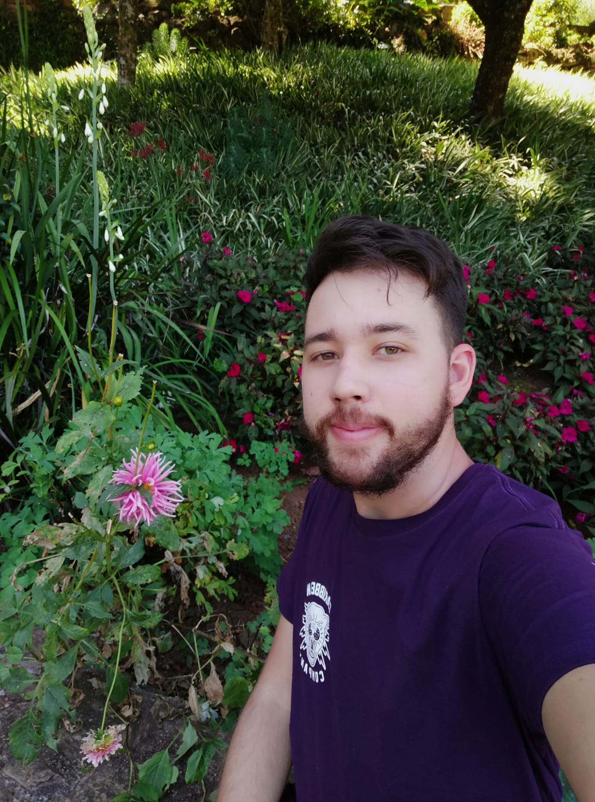 servletrecuperafoto.gif