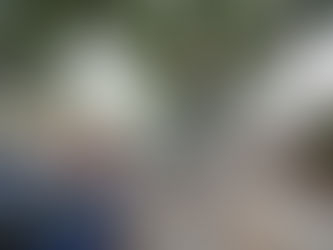 hoa parking enforcement.