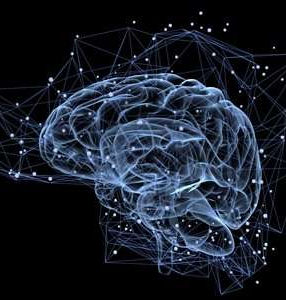 Top 10 Neuroscience Pre-college Programs to attend this summer