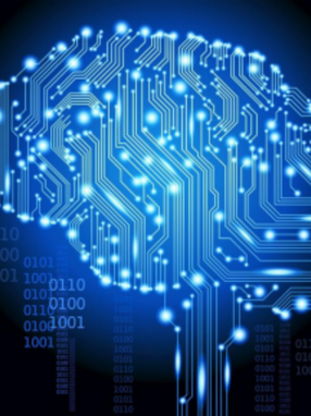 Unraveling Intelligence: Exploring its Neuroscientific  Foundations