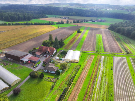 Social Media otherside -  Support the locals 