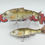 Thumbnail: NEW Golden shiner