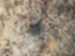 Thumbnail: LOOP EYE DROP SHOT