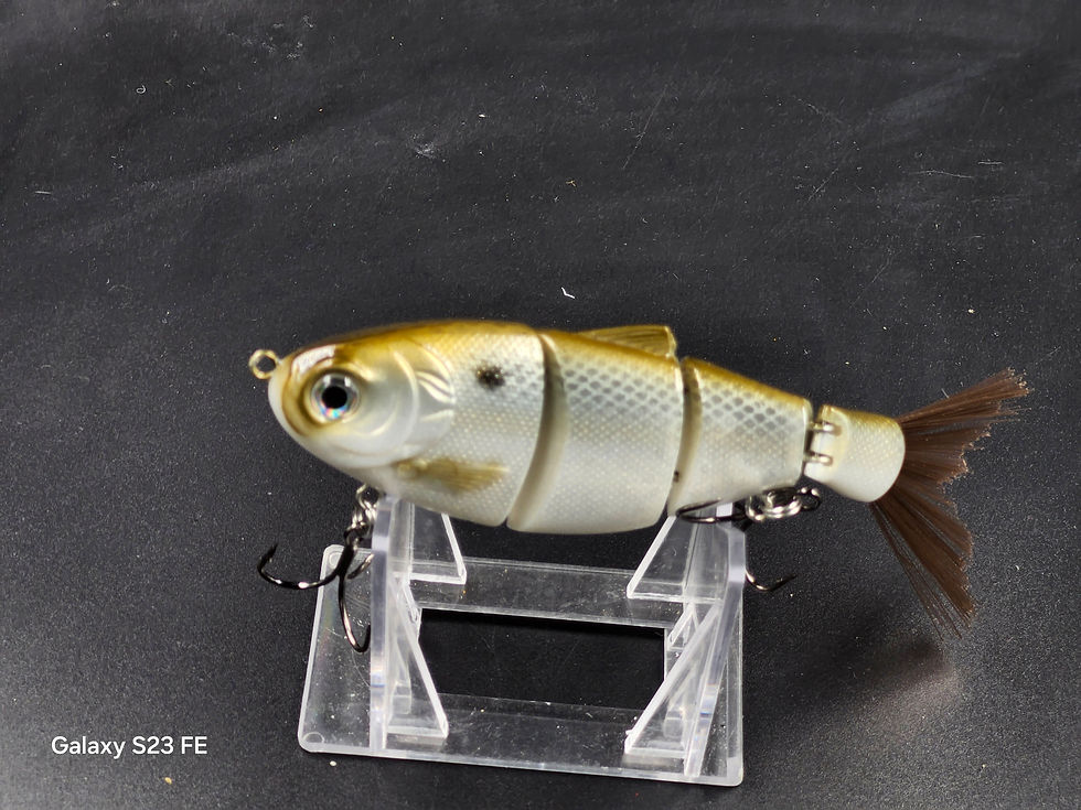 CUSTOM PAINTED FINESSE SWIM/GLIDE BAIT. SB8