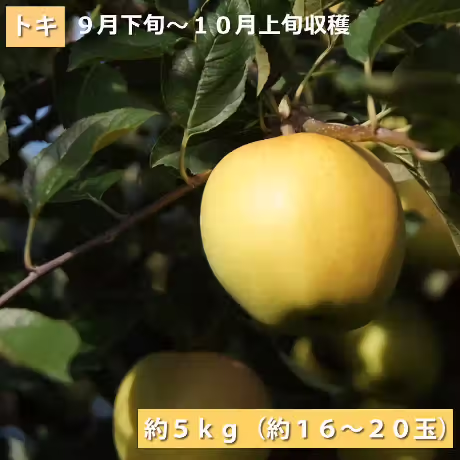 「トキ」5ｋｇ