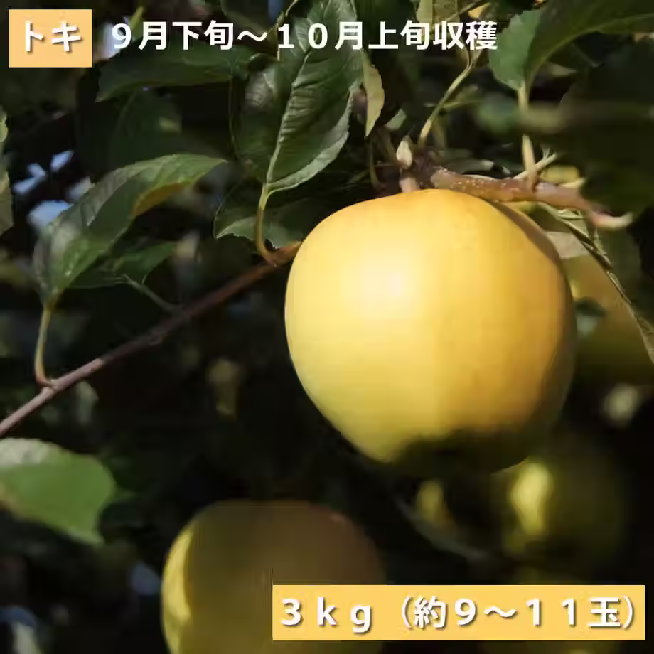 「トキ」３ｋｇ