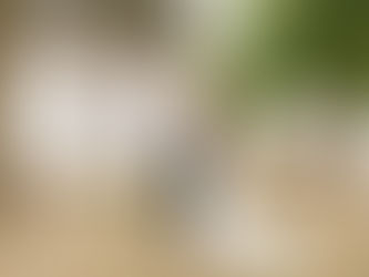 A Northern Indiana Wedding | Indiana Wedding Photographer | Josh & Morgan