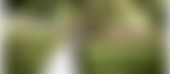 MICRO Wedding | Ivory Foundry | Ana carolina & michael | Indianapolis, IN