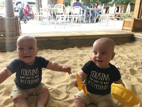 Looking for a mother's helper for sweet 9 months old twins in Cremorne from September