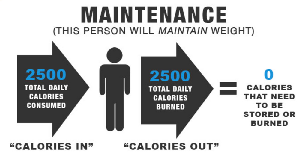 How to find your maintenance calories.