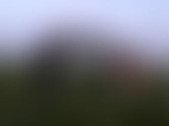 Einsatz 27.05.2020 - 5 Kitze gesichert begleitet von einem Kamerateam