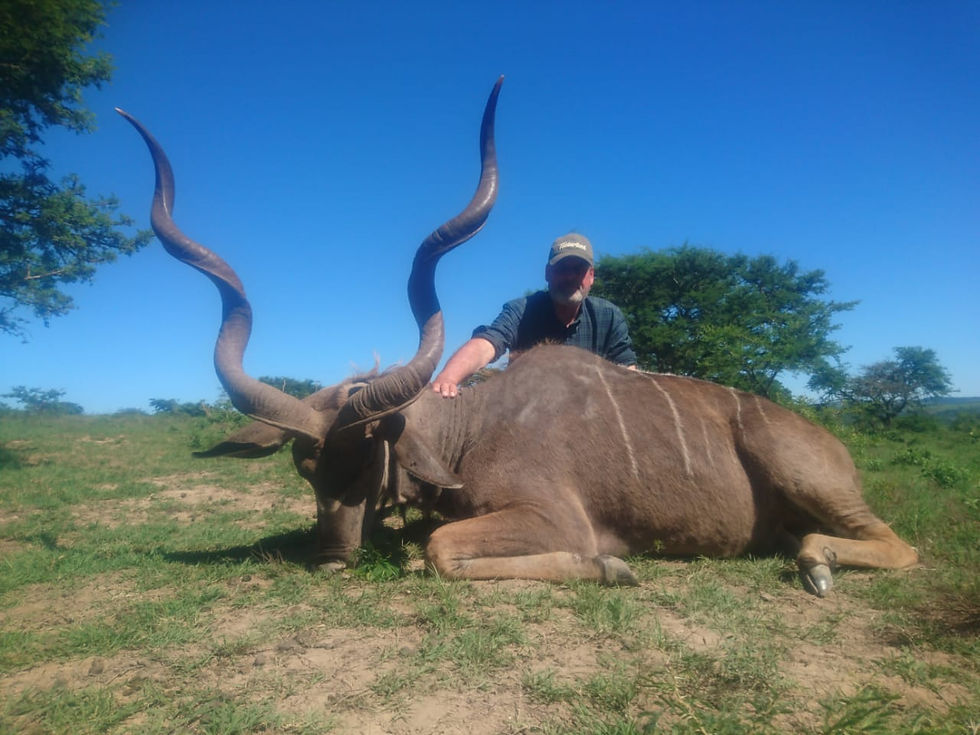 Wild Horizon Kudu hunt