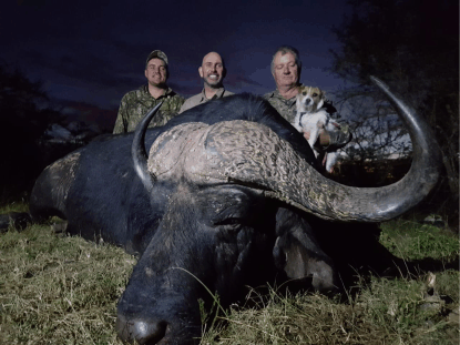 Buffalo.gif