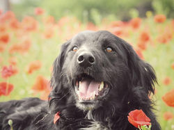 98874861_2536525750011076_38872094832391